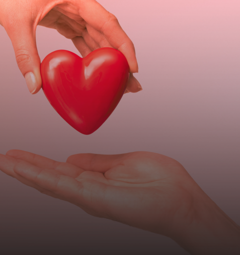 PROGRAMA AMOR CUIDADO: ALINHAMENTO ESTRATÉGICO E CUIDADO EM FOCO